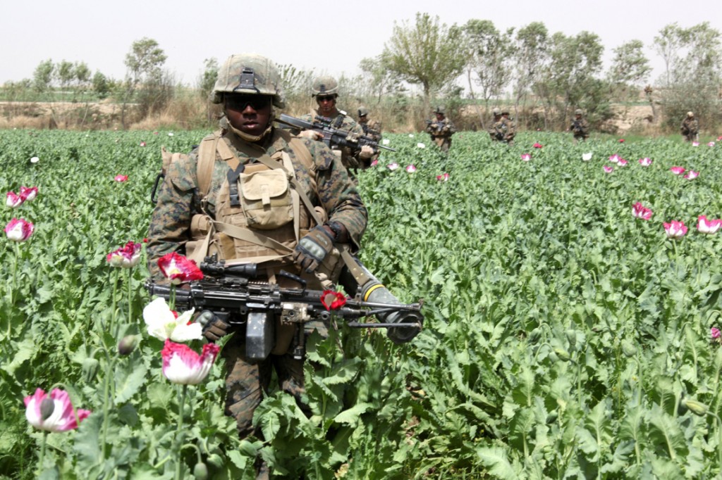 USNATO poppies1 1024x682 U.S. Troops Patrolling Poppy Fields In Afghanistan (Photos)