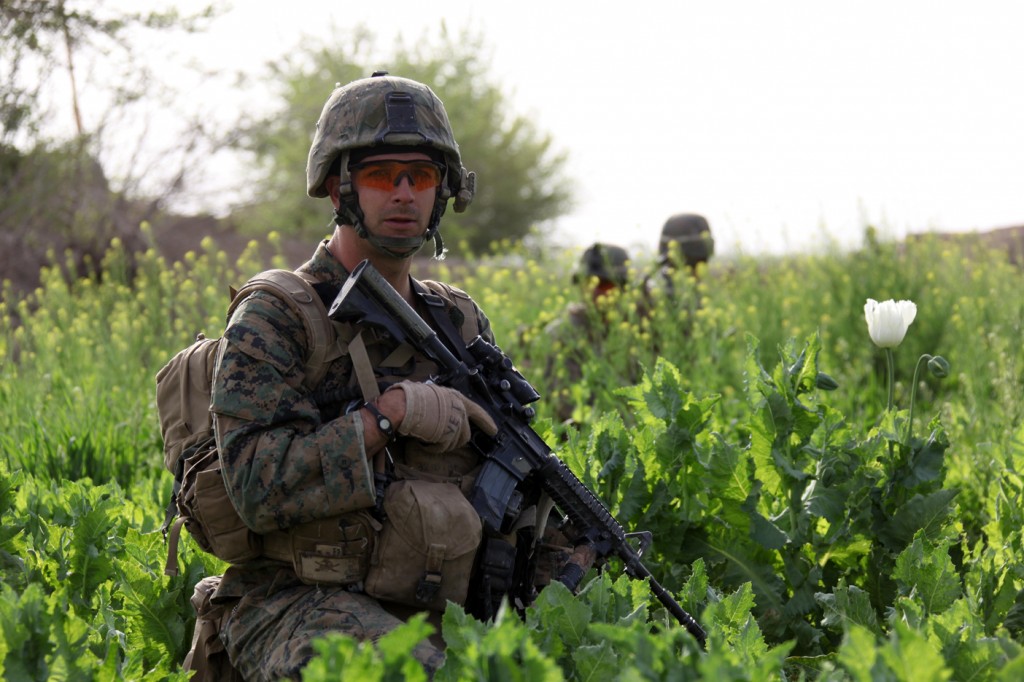 USNATO poppies13 1024x682 U.S. Troops Patrolling Poppy Fields In Afghanistan (Photos)