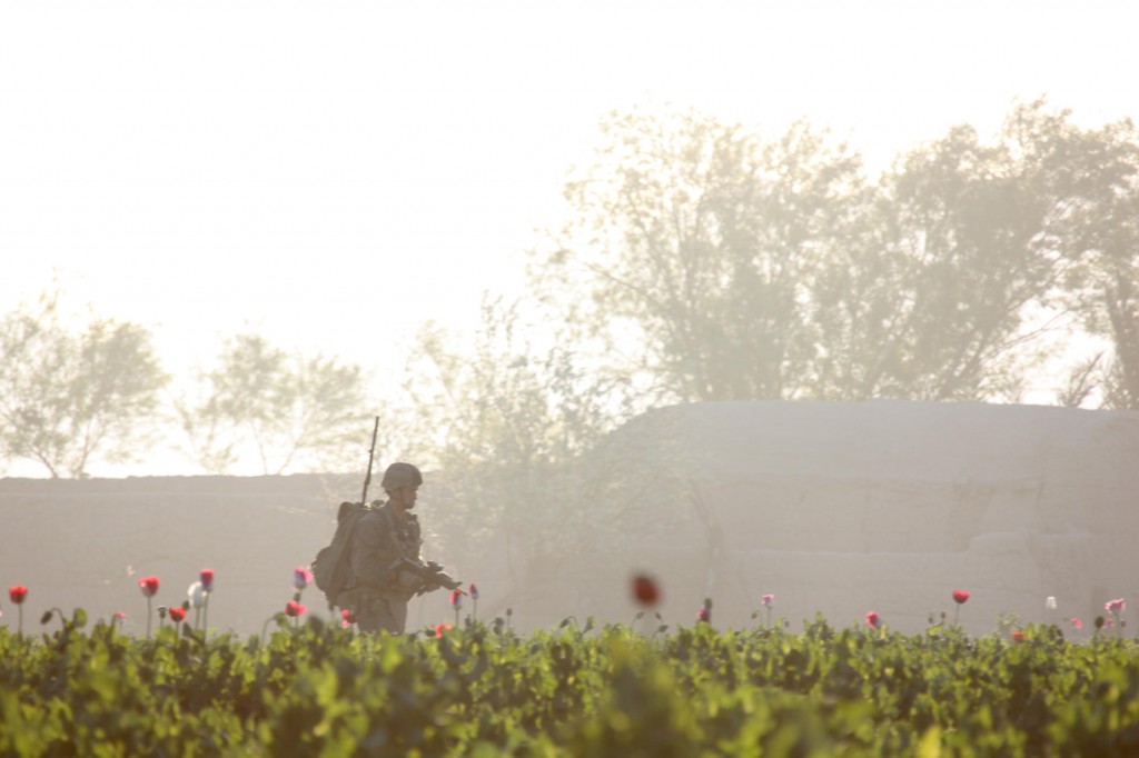 USNATO poppies14 1024x682 U.S. Troops Patrolling Poppy Fields In Afghanistan (Photos)