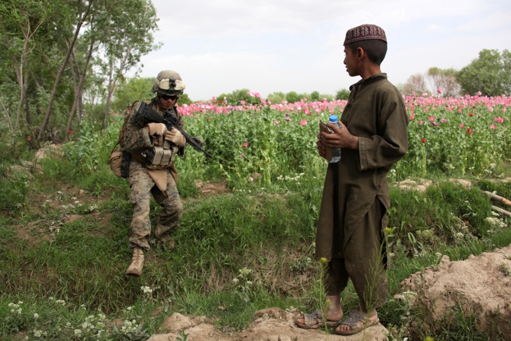 USNATO poppies15 1024x683 U.S. Troops Patrolling Poppy Fields In Afghanistan (Photos)
