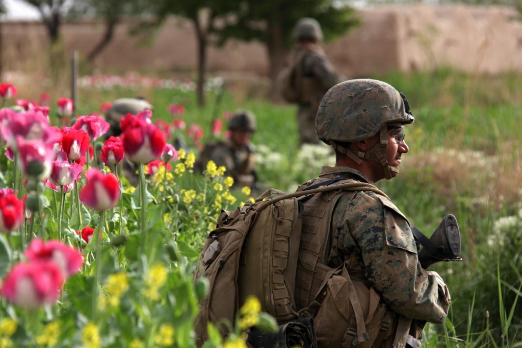 USNATO poppies8 1024x682 U.S. Troops Patrolling Poppy Fields In Afghanistan (Photos)