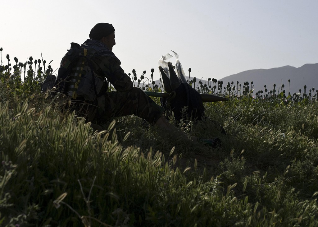 opium fields12 1024x730 U.S. Troops Patrolling Poppy Fields In Afghanistan (Photos)