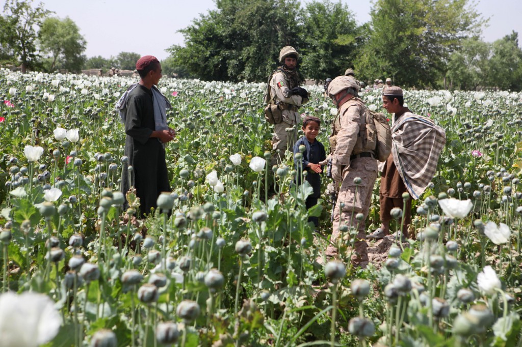 opium fields15 1024x682 U.S. Troops Patrolling Poppy Fields In Afghanistan (Photos)