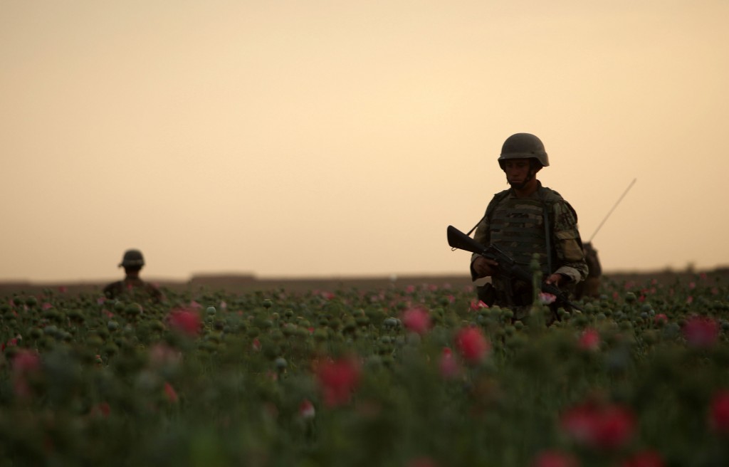opium fields 10 1024x656 U.S. Troops Patrolling Poppy Fields In Afghanistan (Photos)