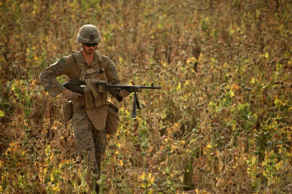 opium fields 12 1024x682 U.S. Troops Patrolling Poppy Fields In Afghanistan (Photos)