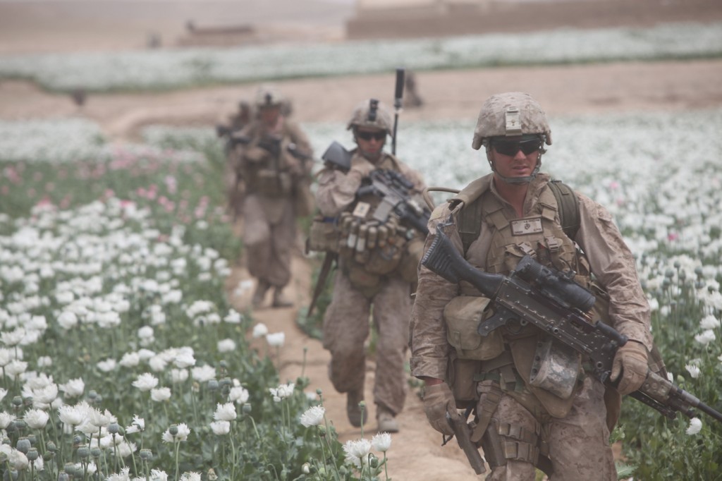 opium fields 4 1024x682 U.S. Troops Patrolling Poppy Fields In Afghanistan (Photos)