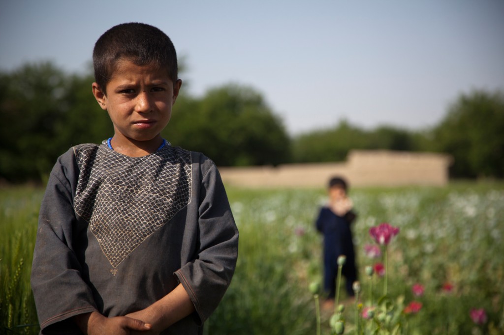 opium fields 5 1024x682 U.S. Troops Patrolling Poppy Fields In Afghanistan (Photos)