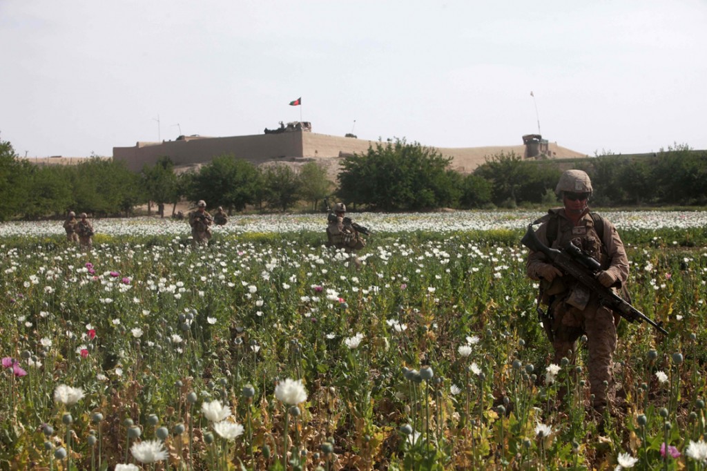 χωράφια με το όπιο 6 1024x682 Στρατεύματα των ΗΠΑ αστυνόμευση πεδία παπαρούνας στο Αφγανιστάν (Φωτογραφίες)