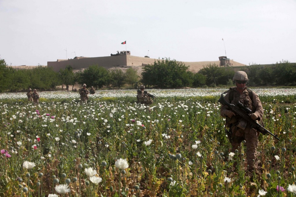 opium fields 6 1024x682 U.S. Troops Patrolling Poppy Fields In Afghanistan (Photos)