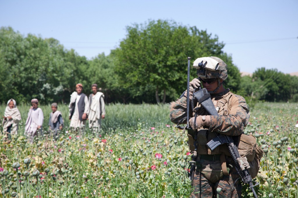 χωράφια με το όπιο 8 1024x682 Στρατεύματα των ΗΠΑ αστυνόμευση πεδία παπαρούνας στο Αφγανιστάν (Φωτογραφίες)