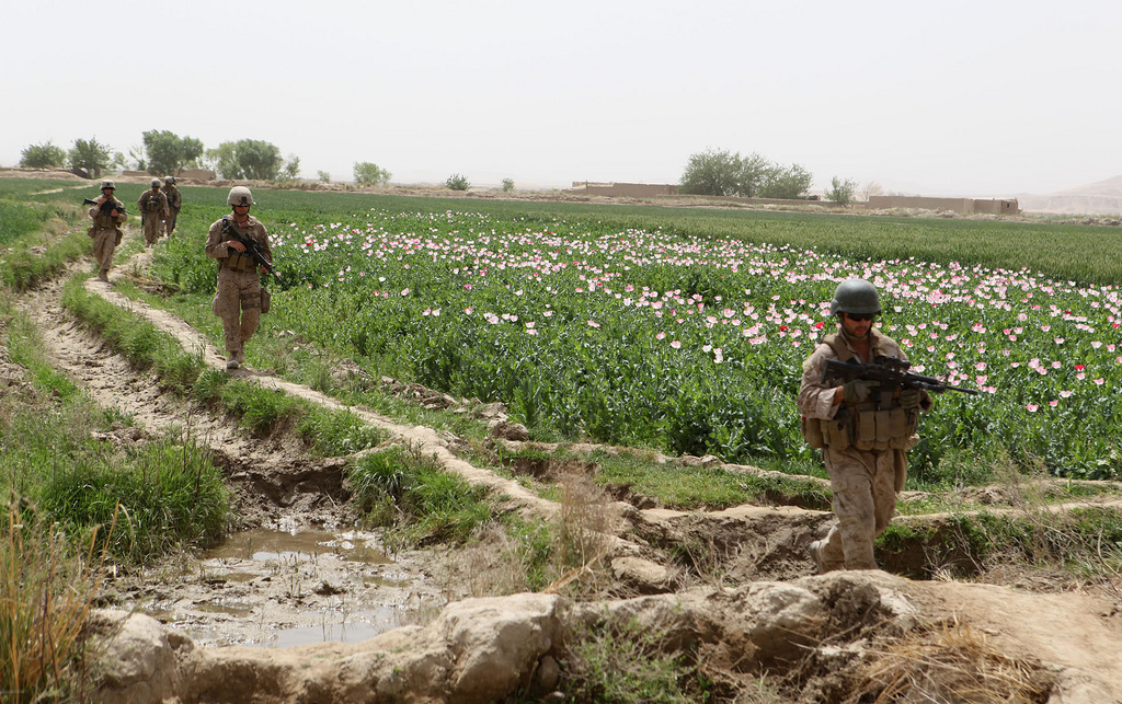 USopium10 U.S. Troops Patrolling Poppy Fields In Afghanistan (Photos)