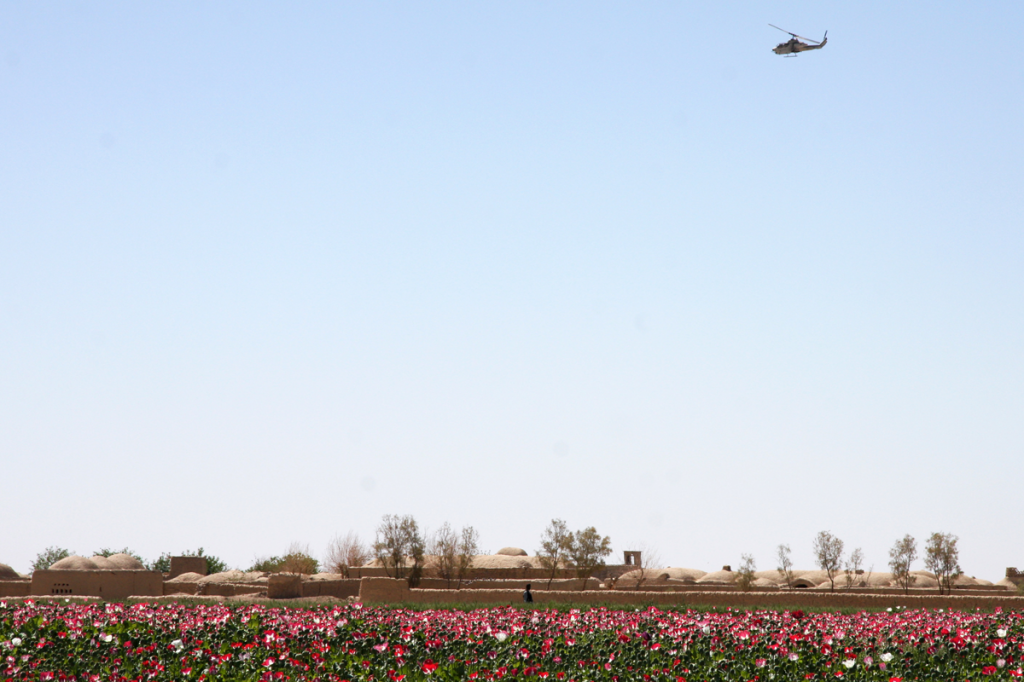 USopium5 1024x682 U.S. Troops Patrolling Poppy Fields In Afghanistan (Photos)