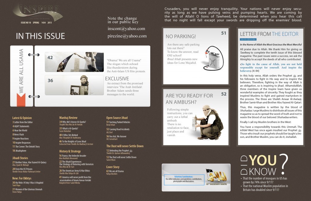 InspireWinter2013_Page_03